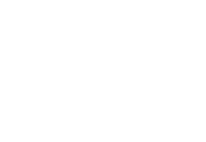 bones coffee logo in white